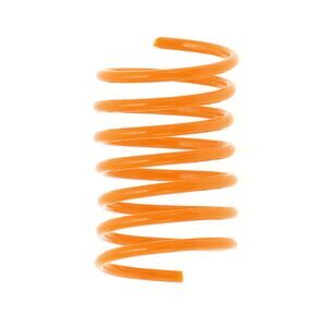 Spring Cat Teaser Toys Orange